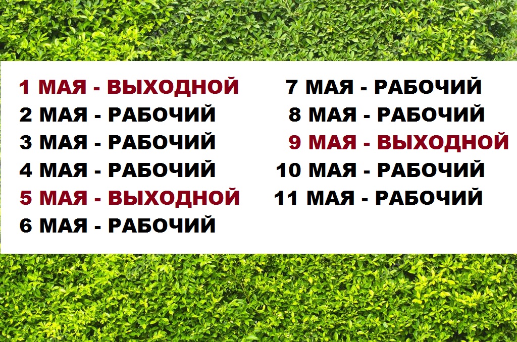 график работы на майские